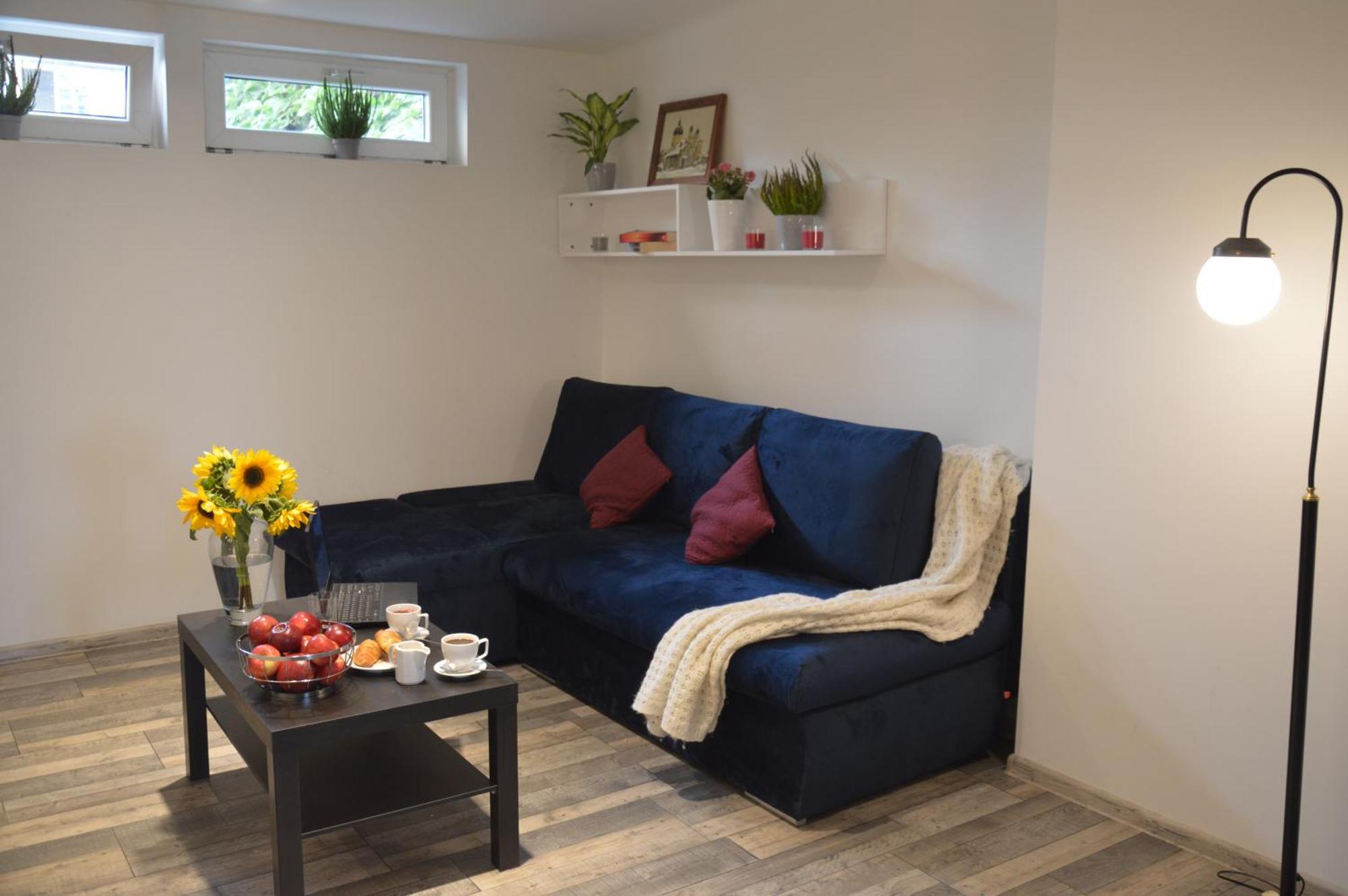 Central Wawel Apartments كراكوفيا المظهر الخارجي الصورة
